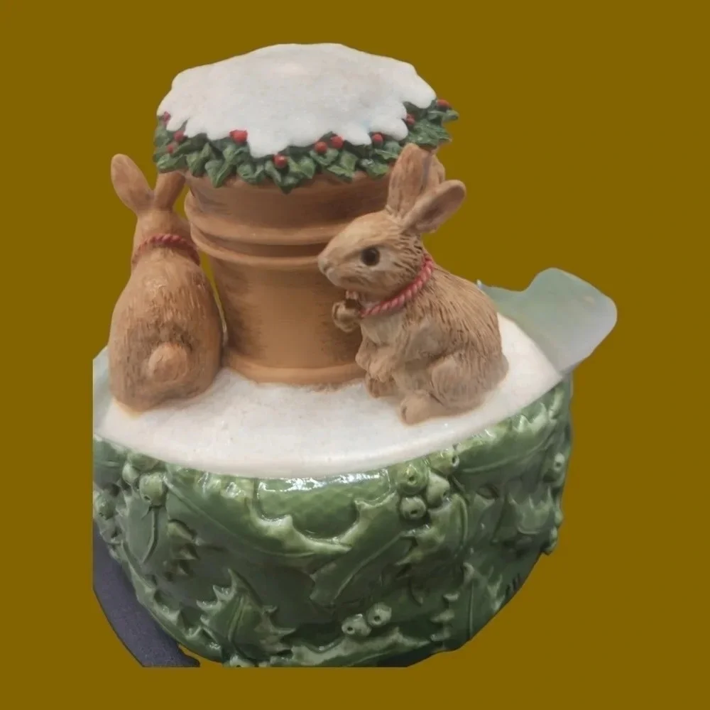 Natures winter rabbits